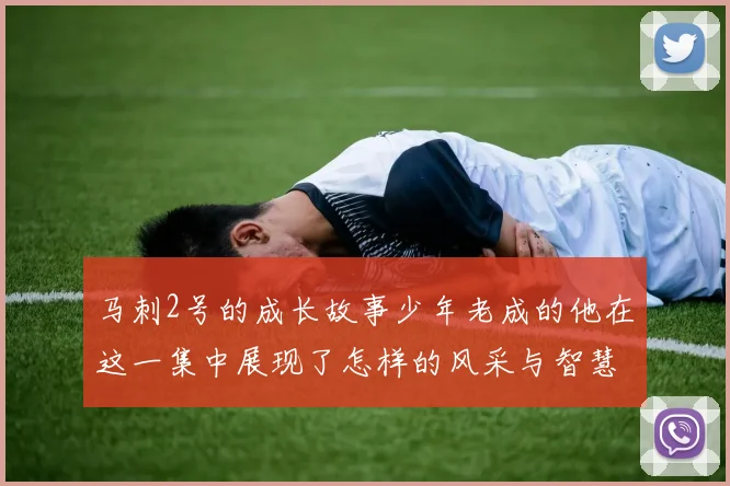 马刺2号的成长故事少年老成的他在这一集中展现了怎样的风采与智慧