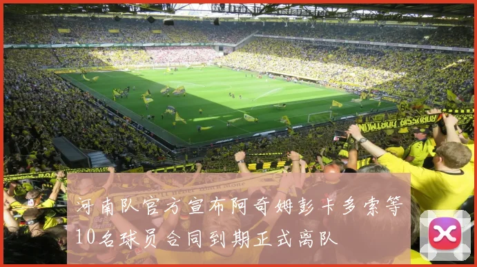 河南队官方宣布阿奇姆彭卡多索等10名球员合同到期正式离队