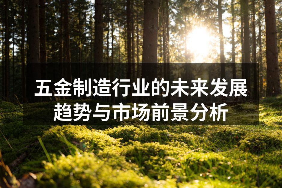 五金制造行业的未来发展趋势与市场前景分析